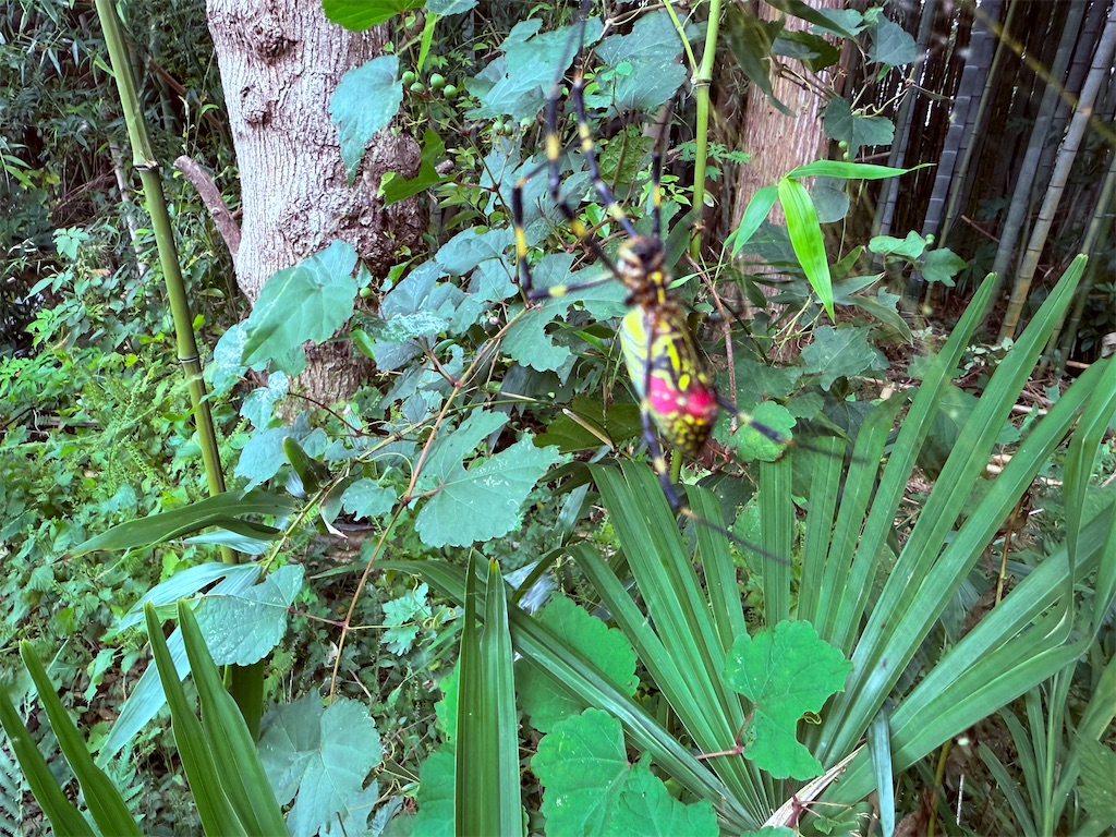 f:id:gu0603016:20251016201841j:image