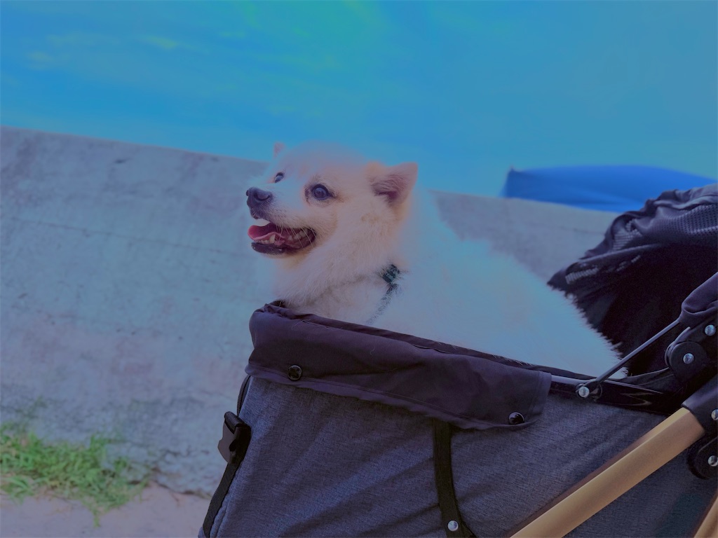 f:id:gu0603016:20251231230457j:image