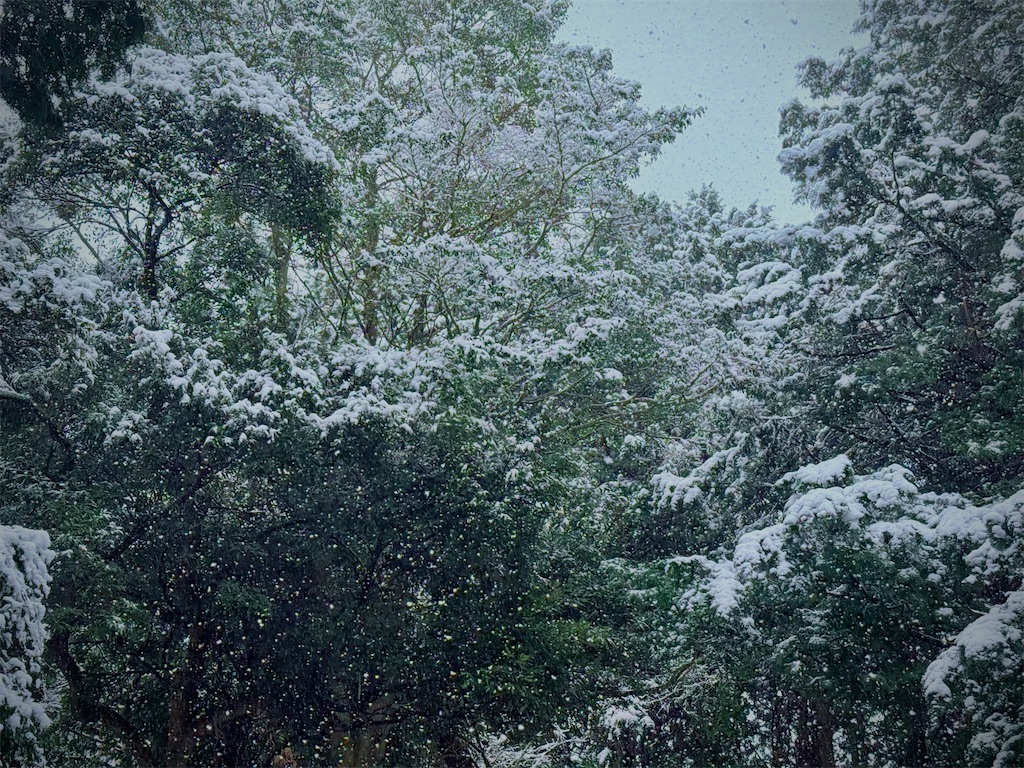f:id:gu0603016:20260207180256j:image