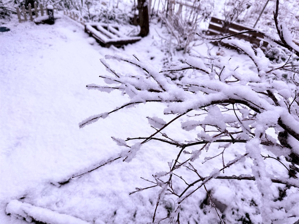 f:id:gu0603016:20260207180309j:image