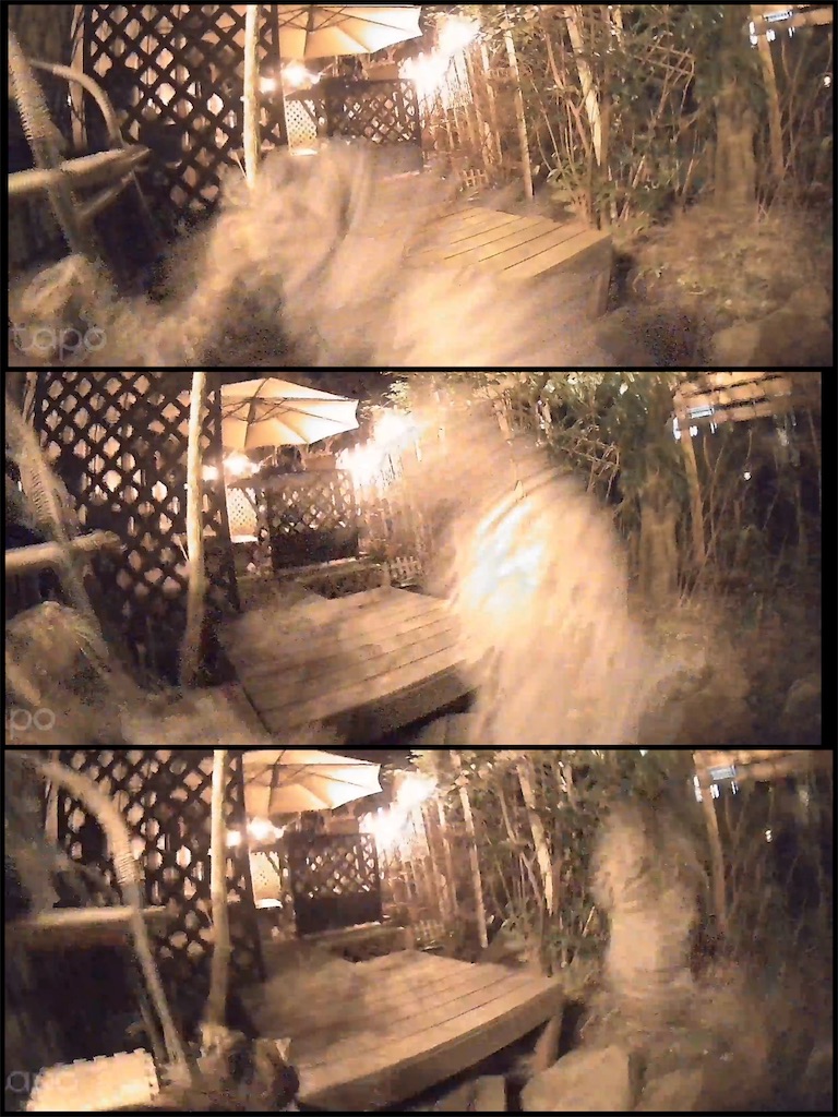 f:id:gu0603016:20260207181020j:image
