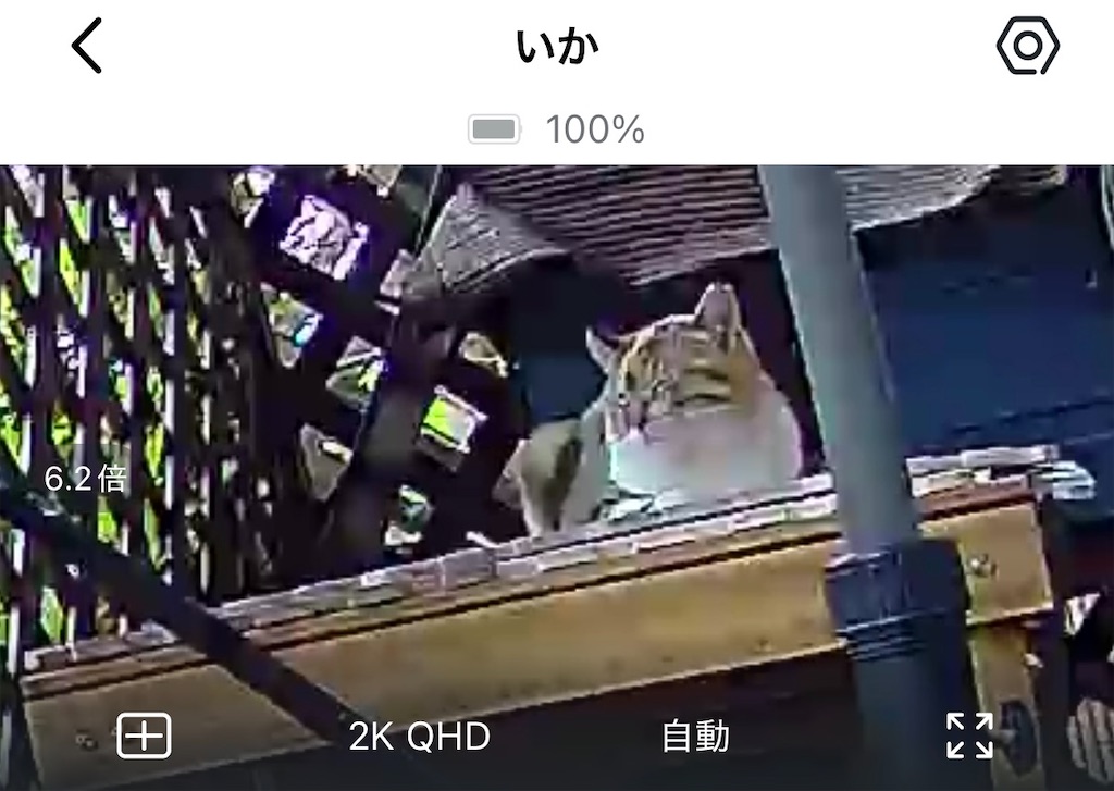 f:id:gu0603016:20260415205541j:image