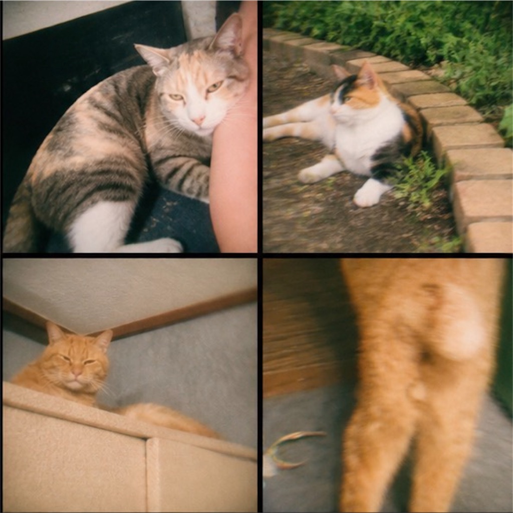 f:id:gu0603016:20260504195151j:image