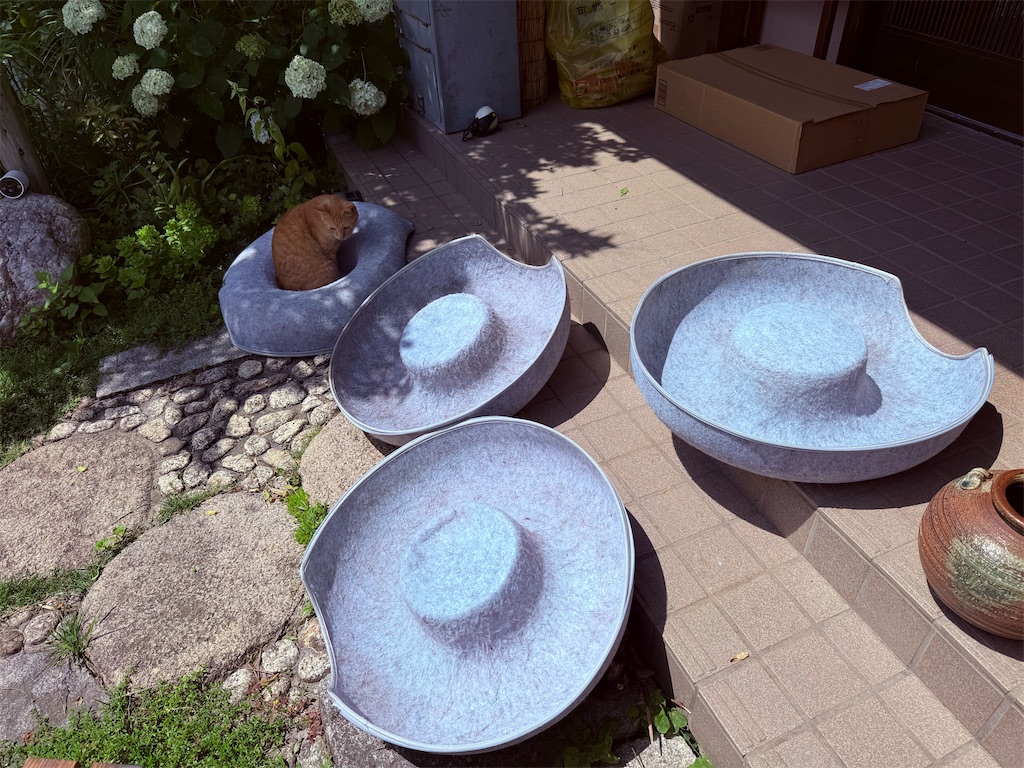 f:id:gu0603016:20260606205818j:image