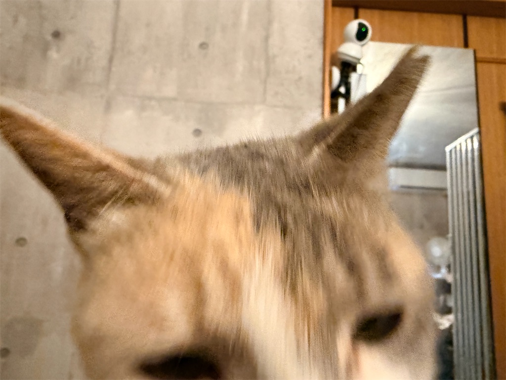 f:id:gu0603016:20260609204347j:image