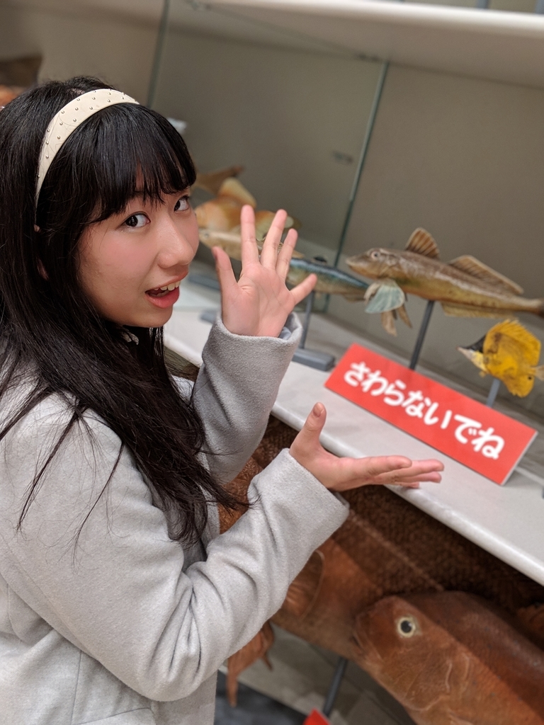f:id:gu__ten:20190310212614j:plain