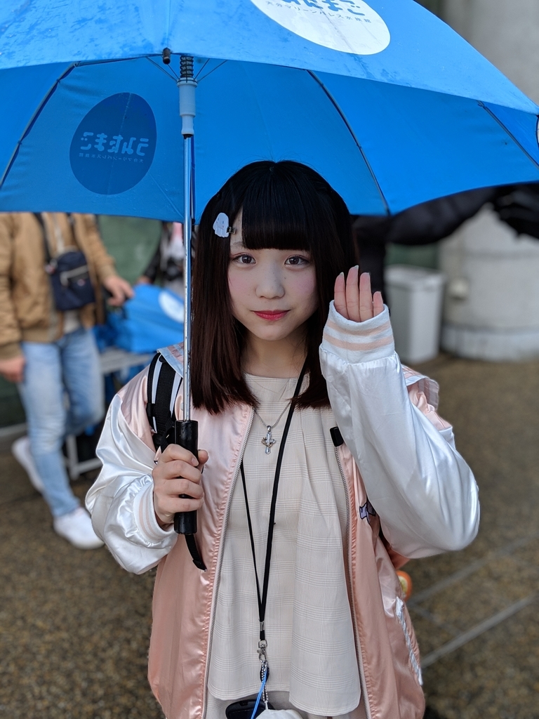 f:id:gu__ten:20190310213714j:plain