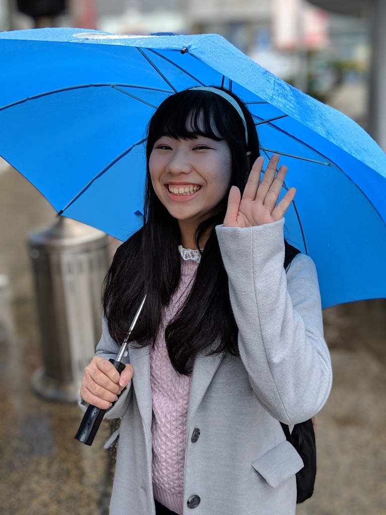 f:id:gu__ten:20190310213800j:plain