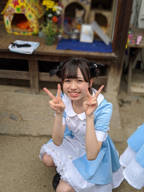 f:id:gu__ten:20191111141426j:image