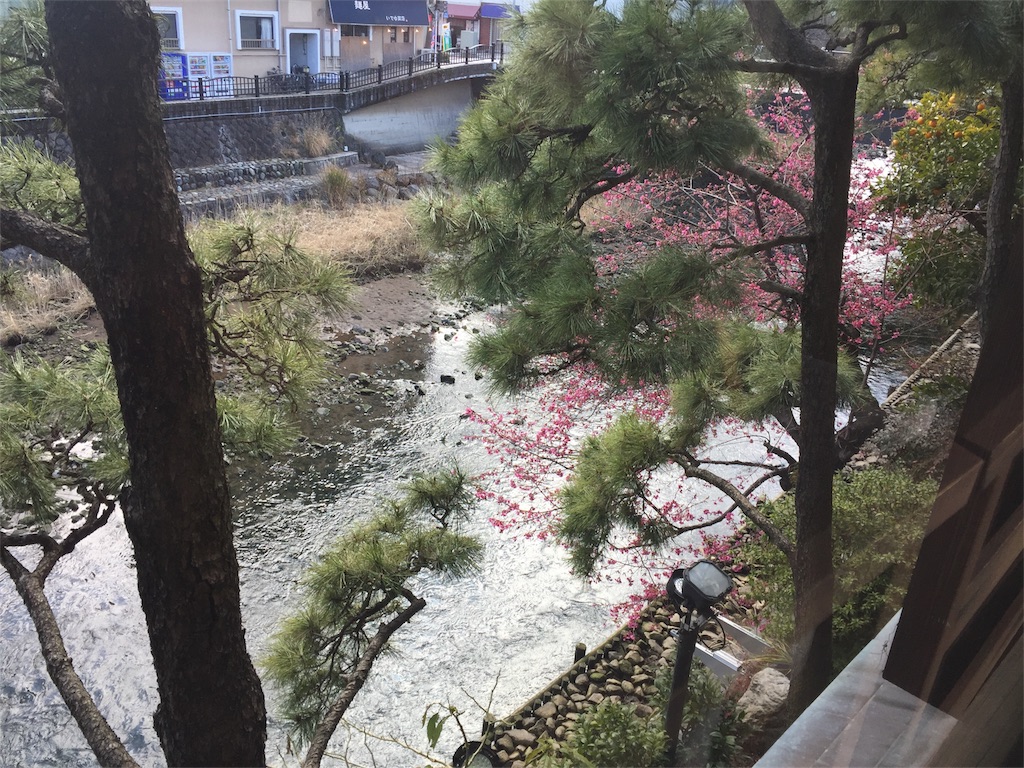 f:id:guangtailang:20180219155010j:image