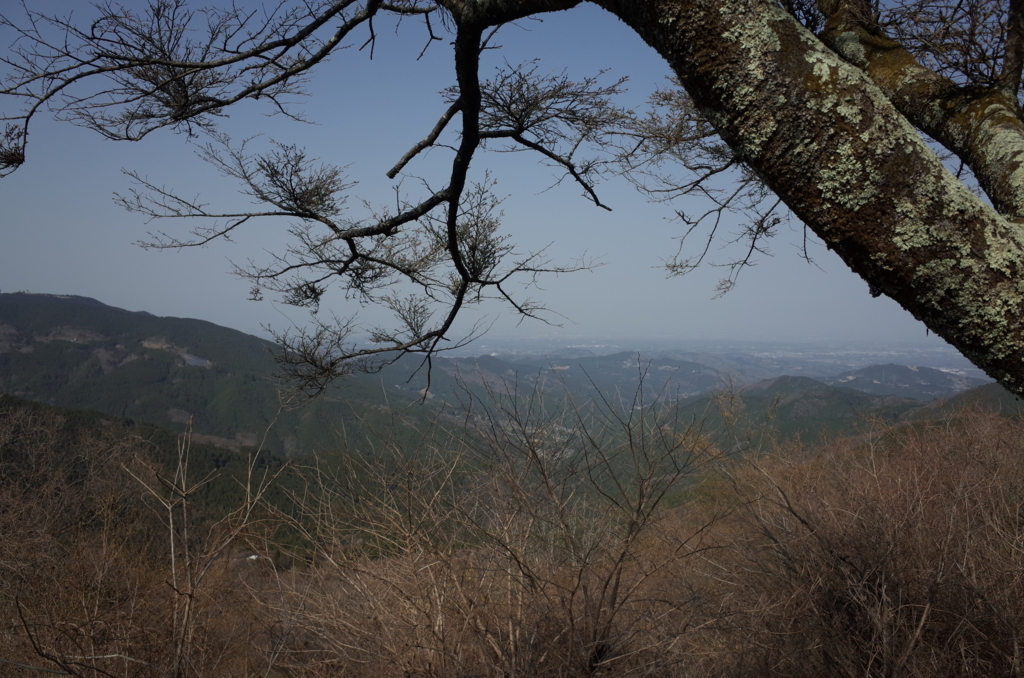 f:id:guangtailang:20180401225605j:plain