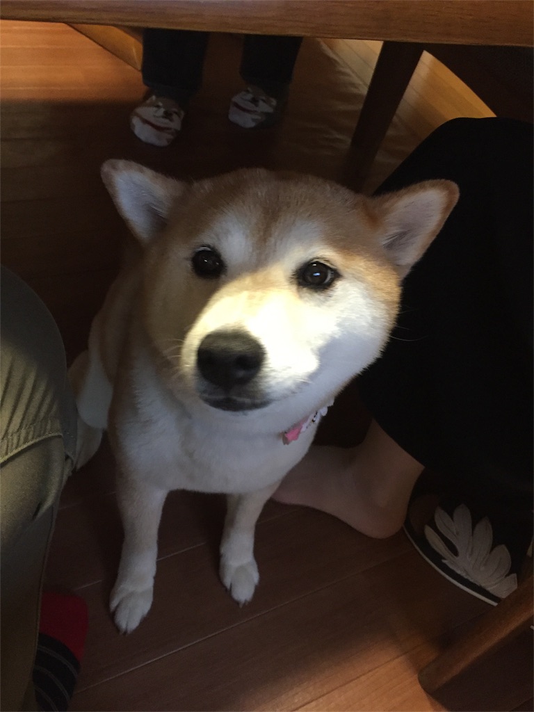 f:id:guangtailang:20180503200506j:image