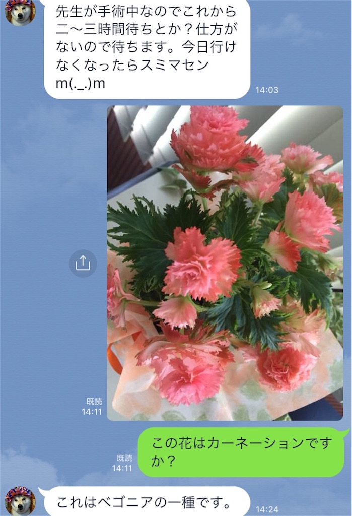 f:id:guangtailang:20180515151652j:image
