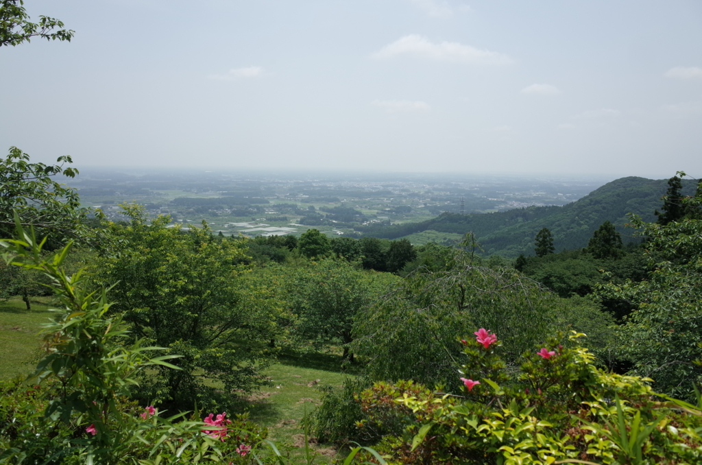 f:id:guangtailang:20180527160509j:plain