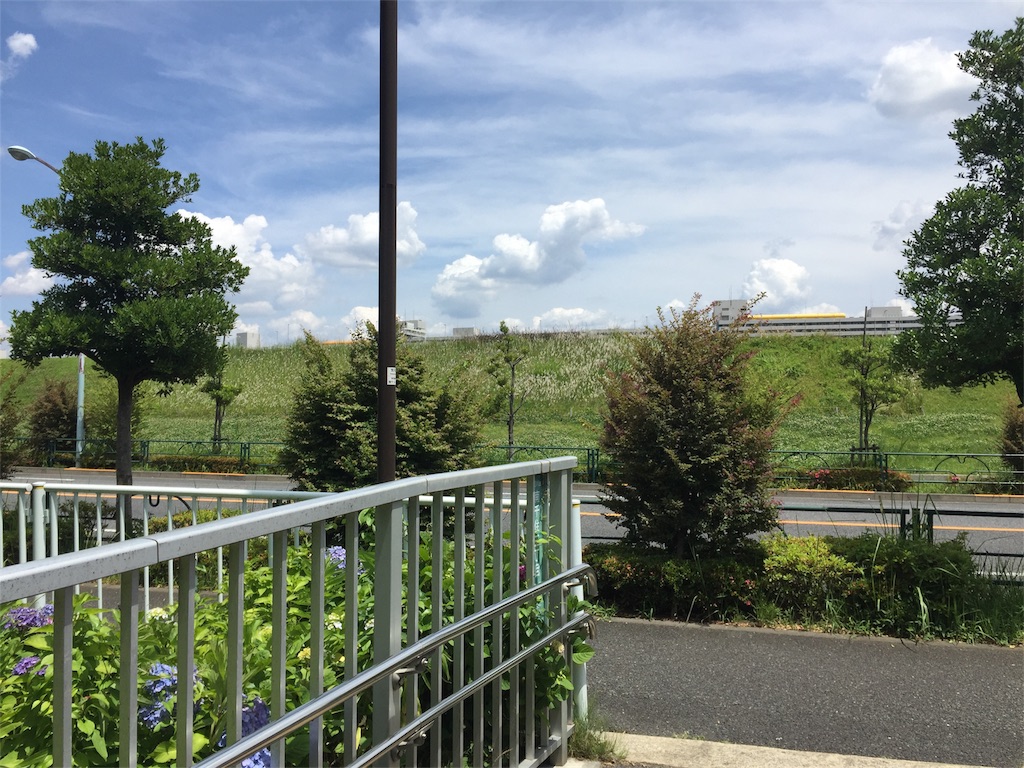 f:id:guangtailang:20180601221422j:image f:id:guangtailang:20180601221422j:image