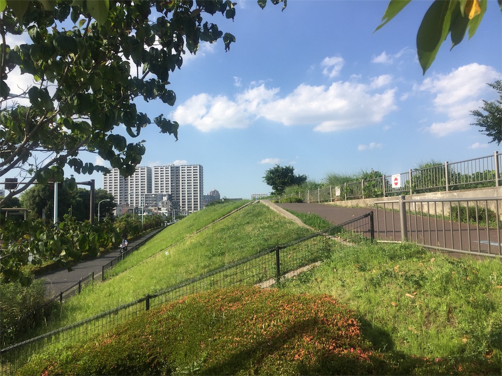 f:id:guangtailang:20180605004636j:image