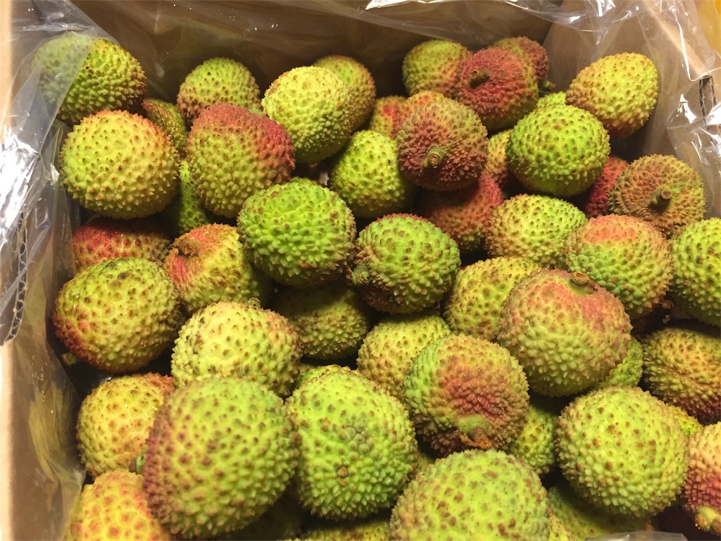 f:id:guangtailang:20180610192246j:image