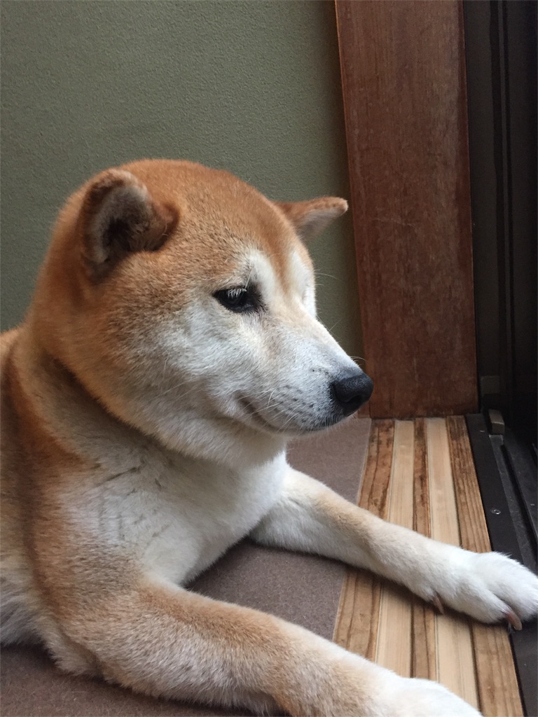 f:id:guangtailang:20180610192342j:image