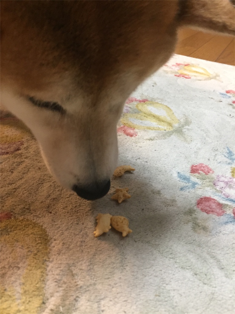 f:id:guangtailang:20180610192427j:image