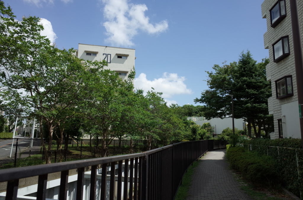 f:id:guangtailang:20180729194358j:plain