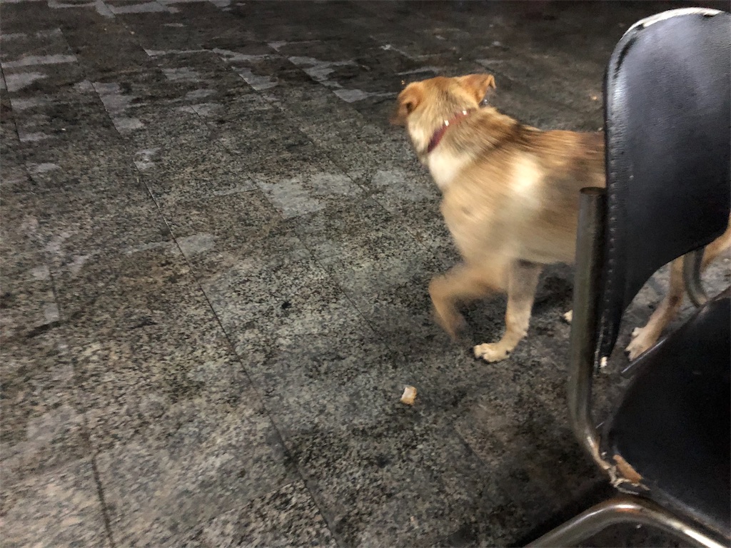 f:id:guangtailang:20180822002440j:image