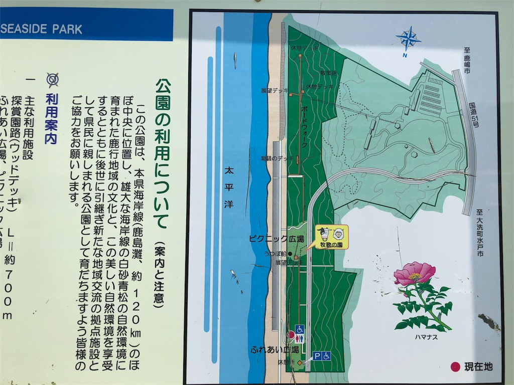 f:id:guangtailang:20180826220147j:image