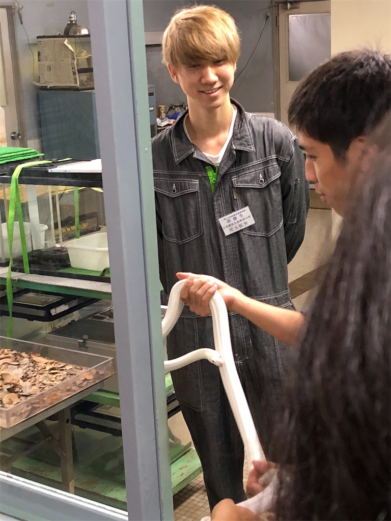 f:id:guangtailang:20180916153305j:image