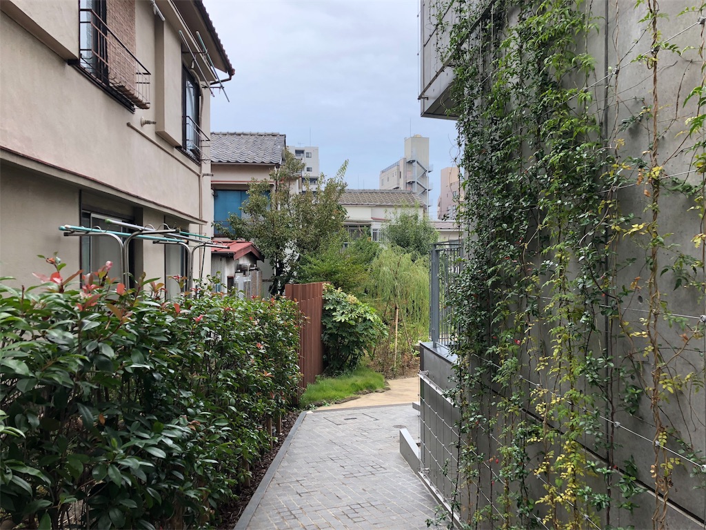 f:id:guangtailang:20181104222846j:image