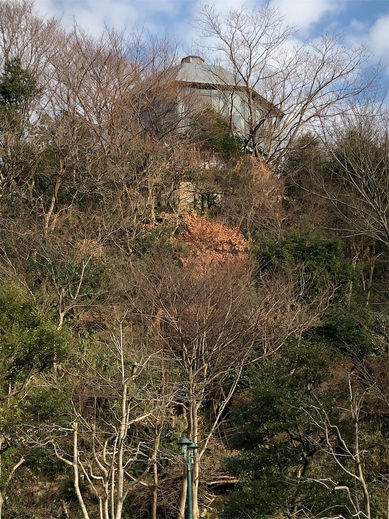 f:id:guangtailang:20190107210228j:image
