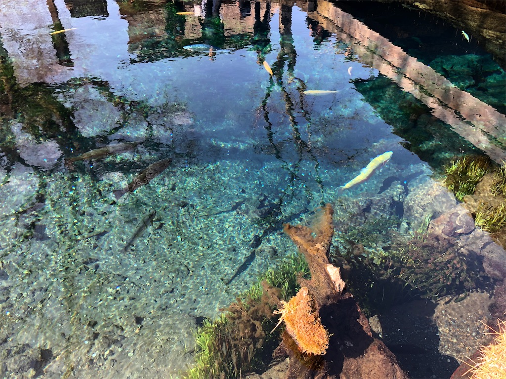 f:id:guangtailang:20190212192807j:image f:id:guangtailang:20190212192807j:image