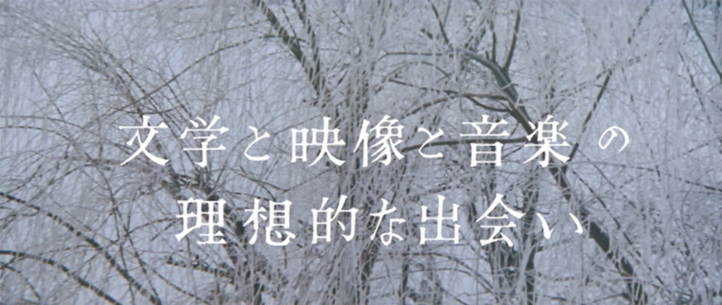 f:id:guangtailang:20190224091923p:plain