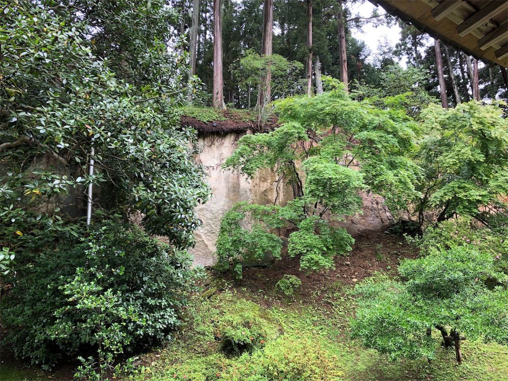 f:id:guangtailang:20190616220324j:image