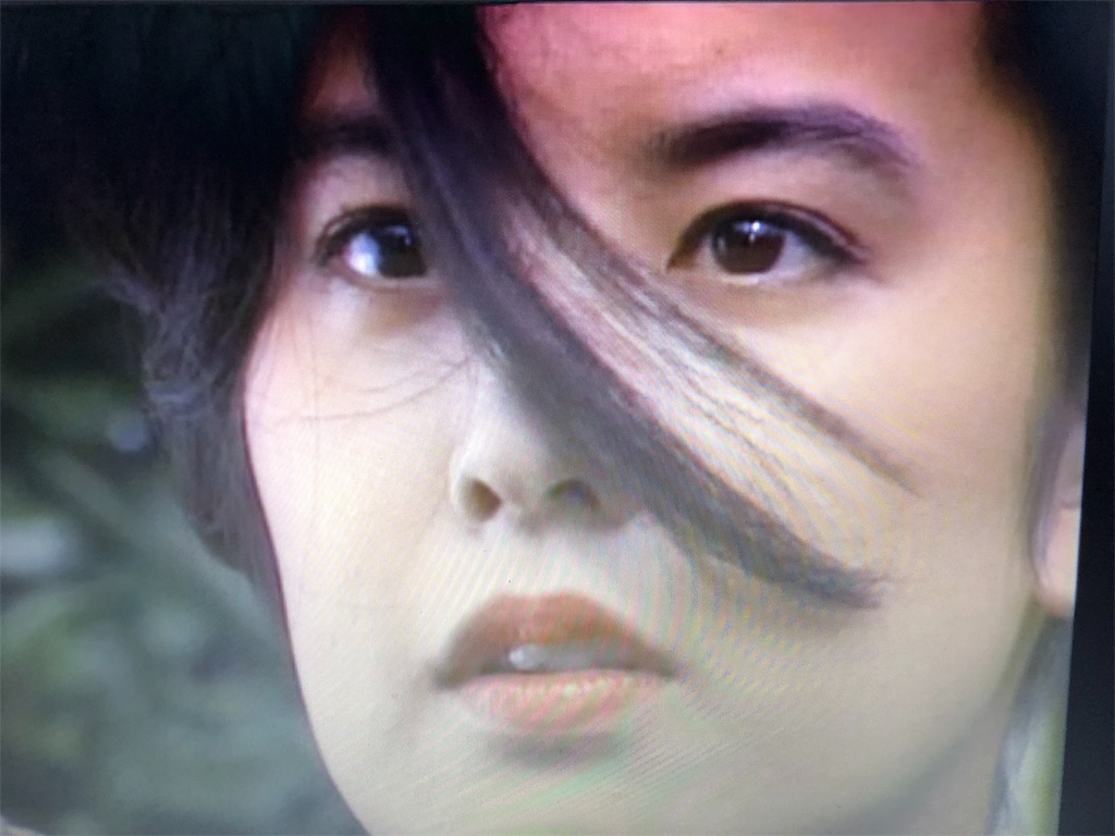 f:id:guangtailang:20190626103739j:image f:id:guangtailang:20190626103739j:image