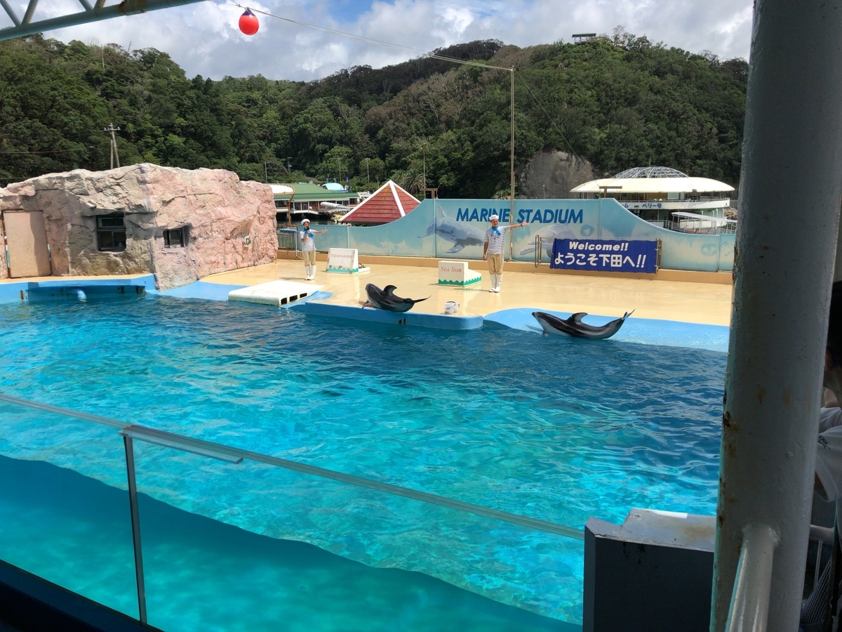 f:id:guangtailang:20190723115941j:plain