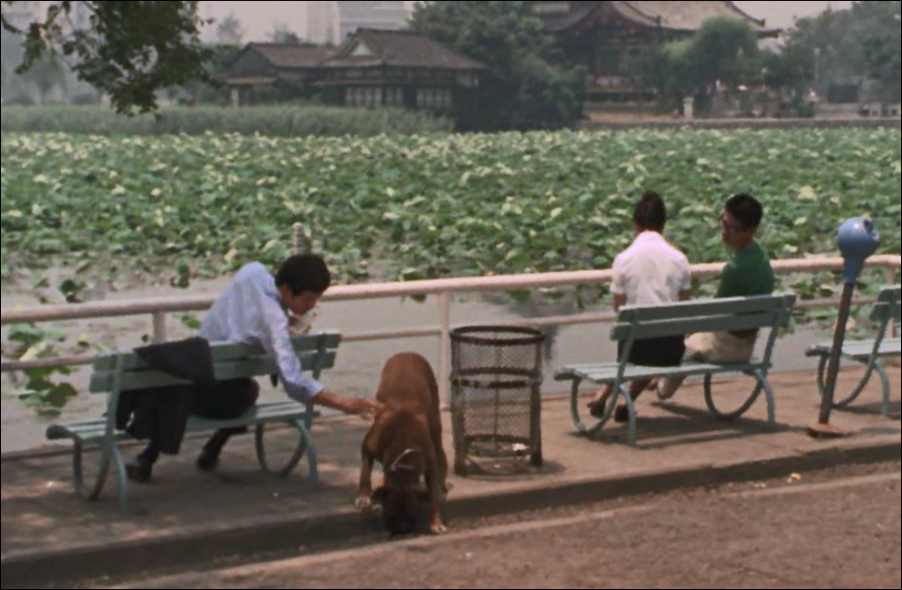 f:id:guangtailang:20190731122632p:plain