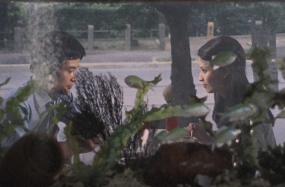 f:id:guangtailang:20190731122749p:plain