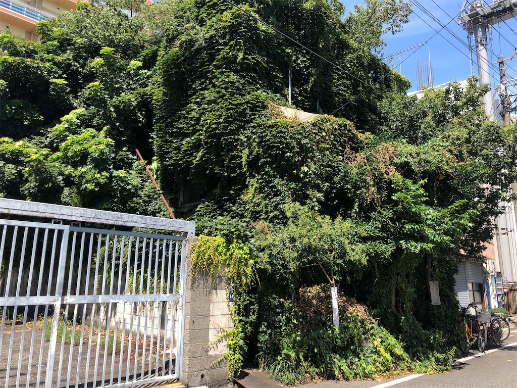 f:id:guangtailang:20190807132258j:image