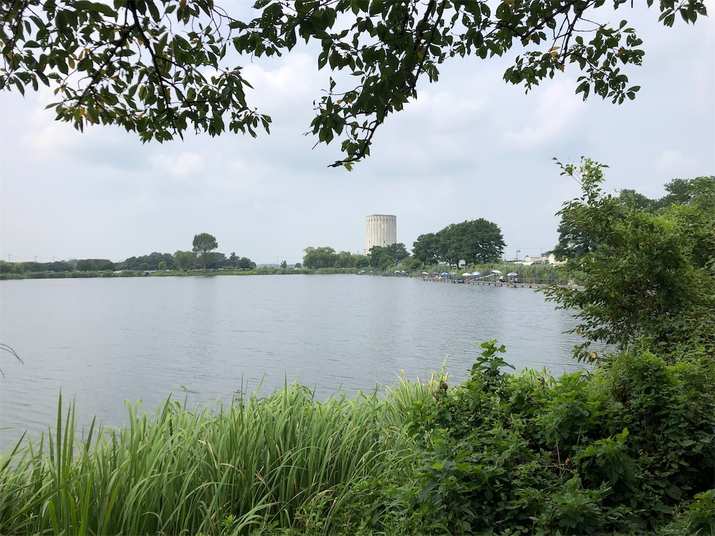 f:id:guangtailang:20190819161716j:image