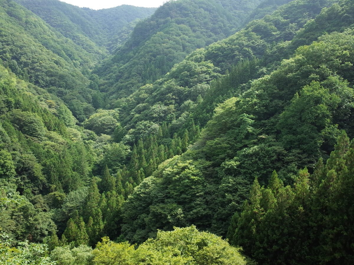 f:id:guangtailang:20190825213656j:plain