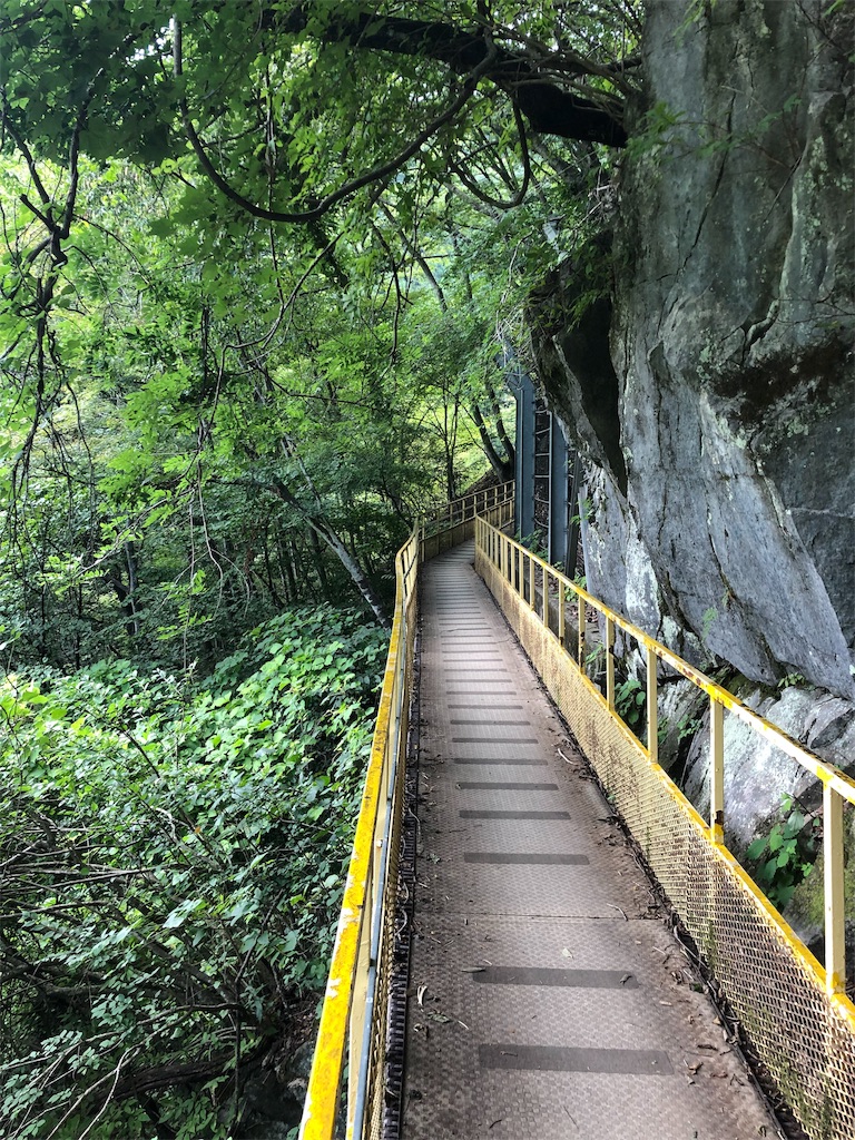 f:id:guangtailang:20190825214515j:image