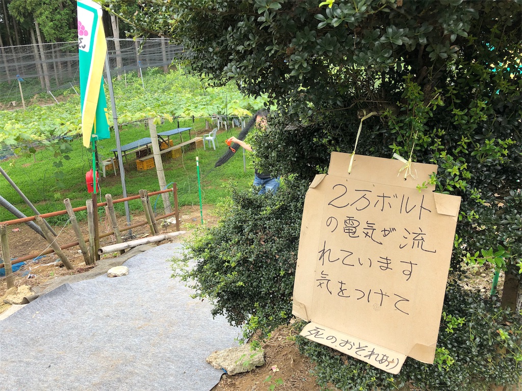 f:id:guangtailang:20190901214753j:image