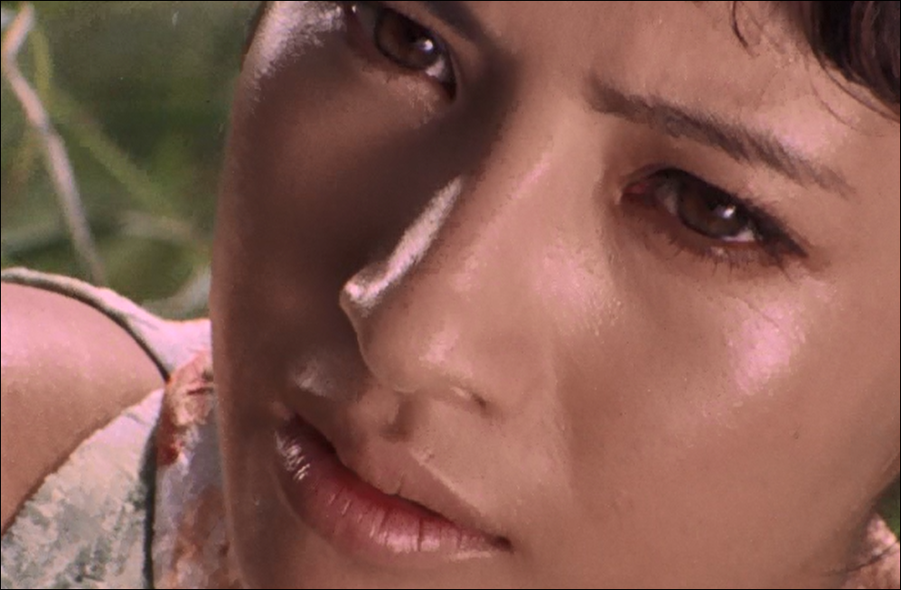 f:id:guangtailang:20191229191600p:plain