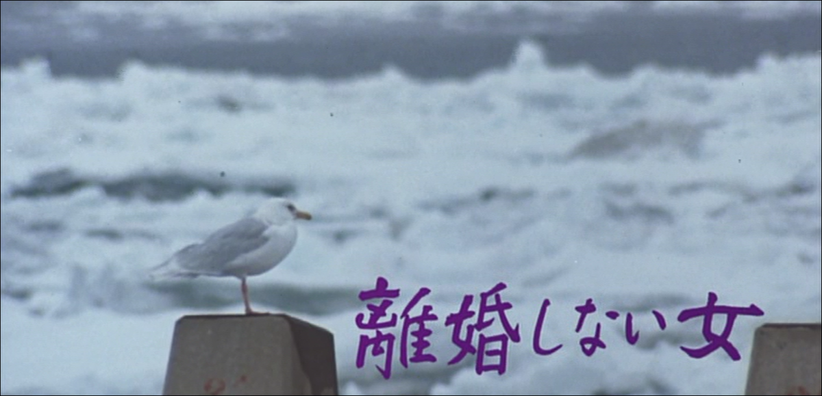 f:id:guangtailang:20200102202344p:plain