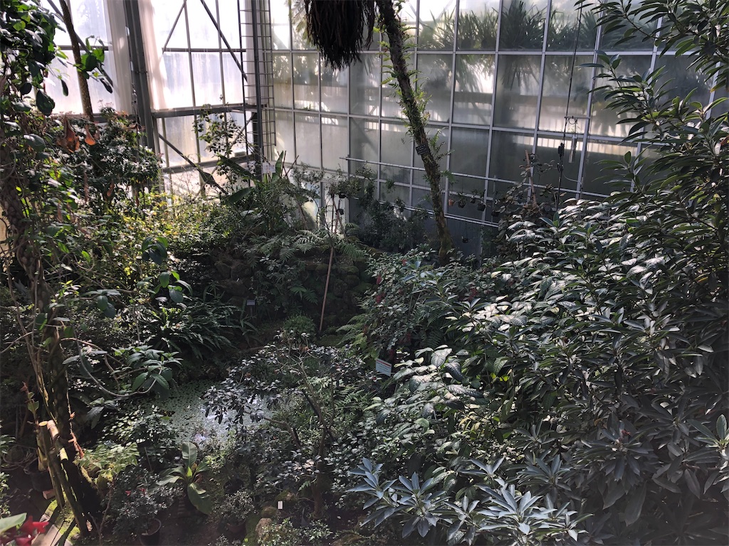 f:id:guangtailang:20200210130427j:image