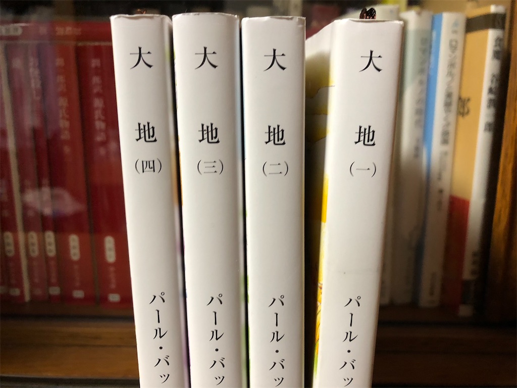 サイデンストリッカー 川の照り