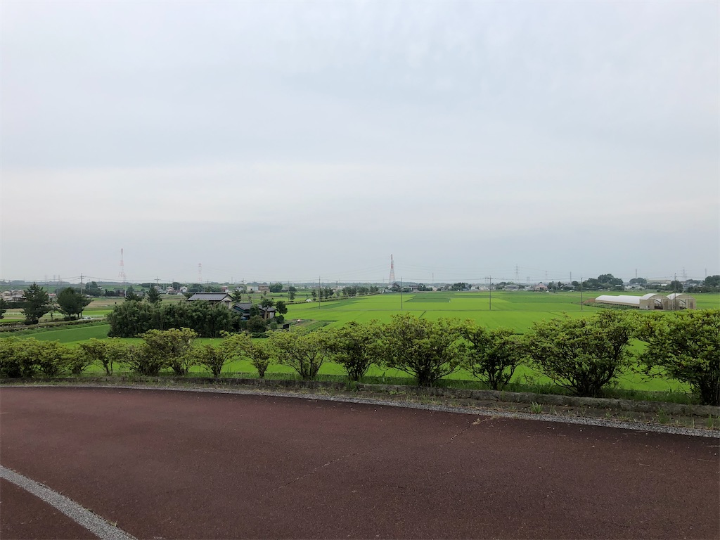 f:id:guangtailang:20200628010353j:image