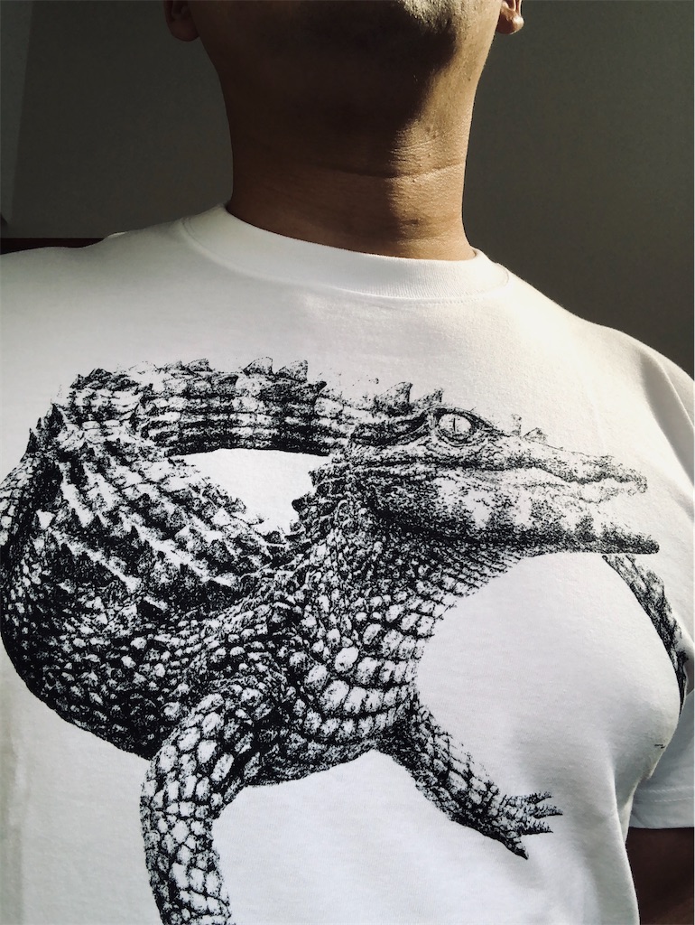f:id:guangtailang:20200905150734j:image