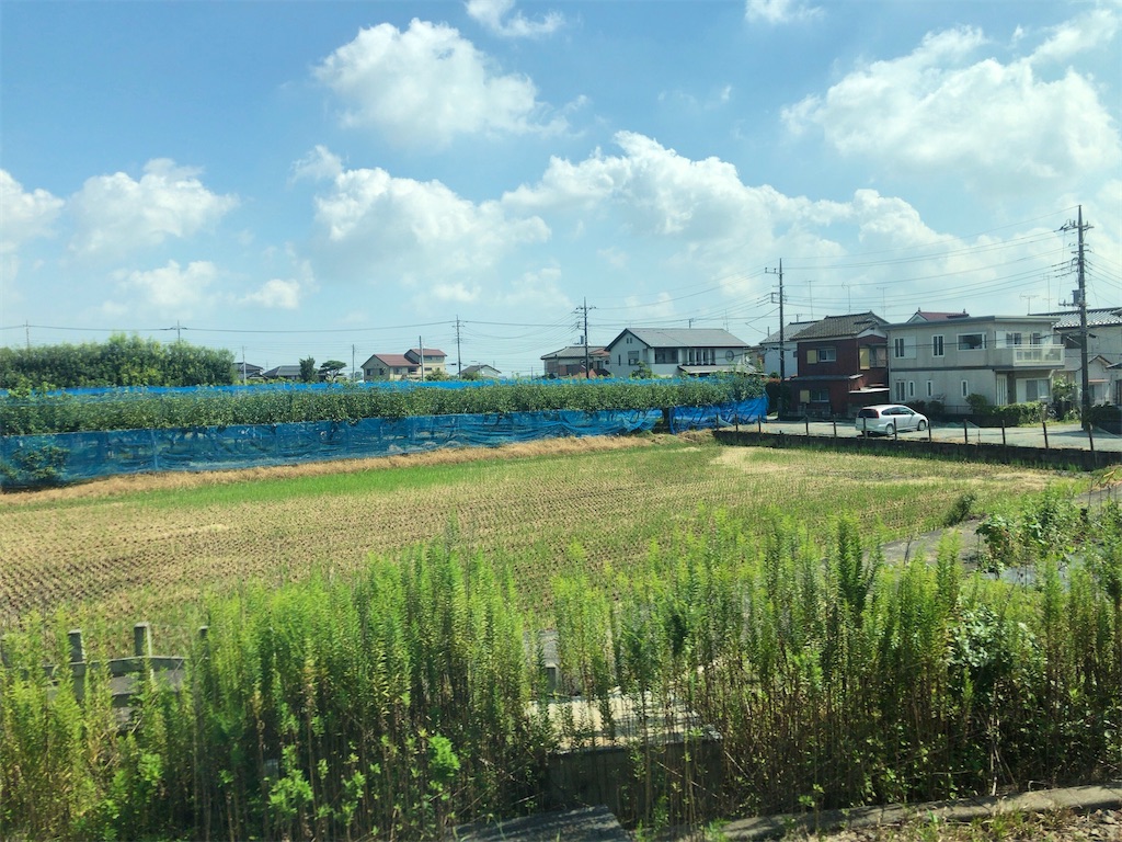 f:id:guangtailang:20210923163536j:image