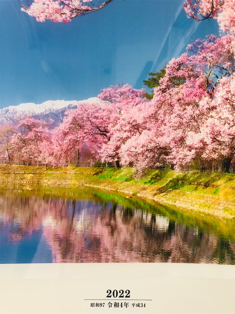f:id:guangtailang:20220328120728j:image
