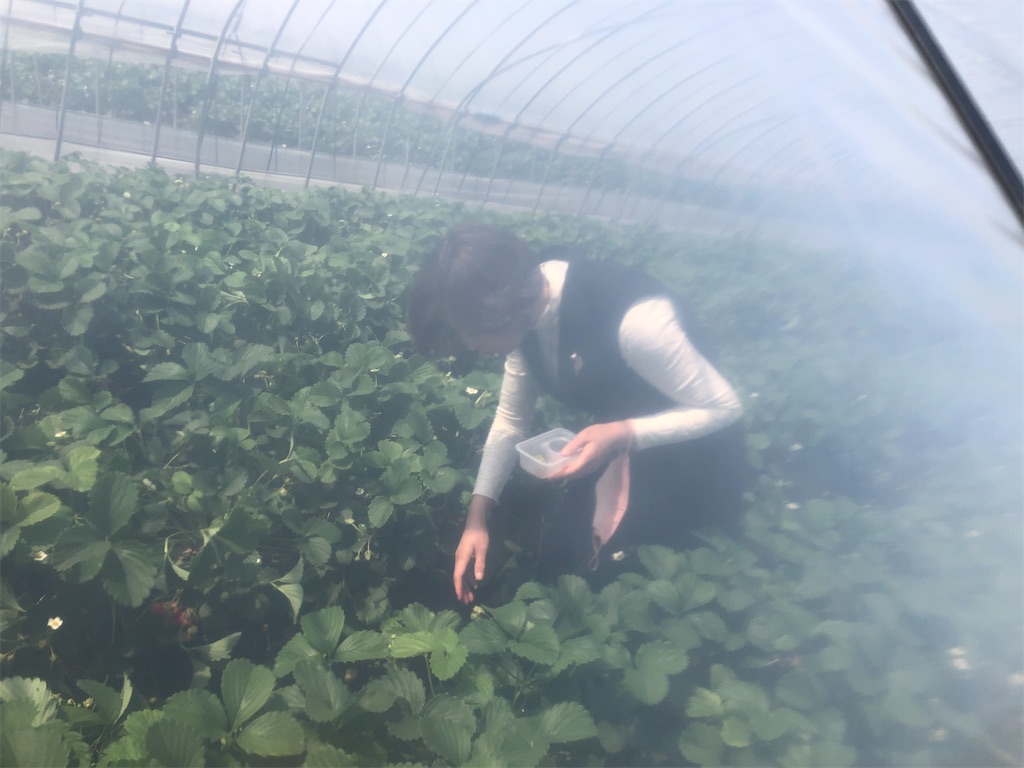 f:id:guangtailang:20220421111559j:image